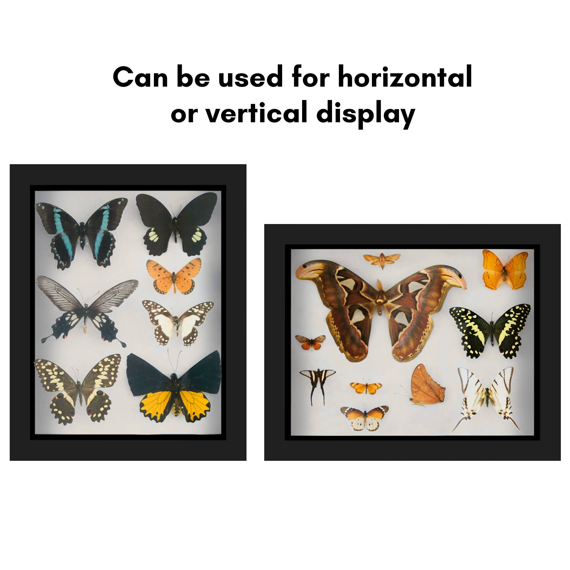 Americanflat - Wholesale Picture Frame - Americanflat Shadow Box Frame with Soft Felt Back69