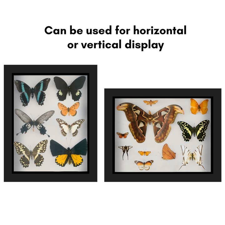 Americanflat - Wholesale Picture Frame - Americanflat Shadow Box Frame with Soft Felt Back69