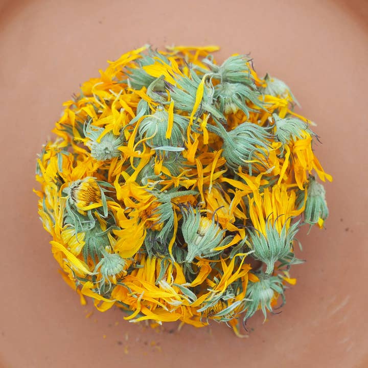 Calendula for wholesale by Wild Few Herb Farm