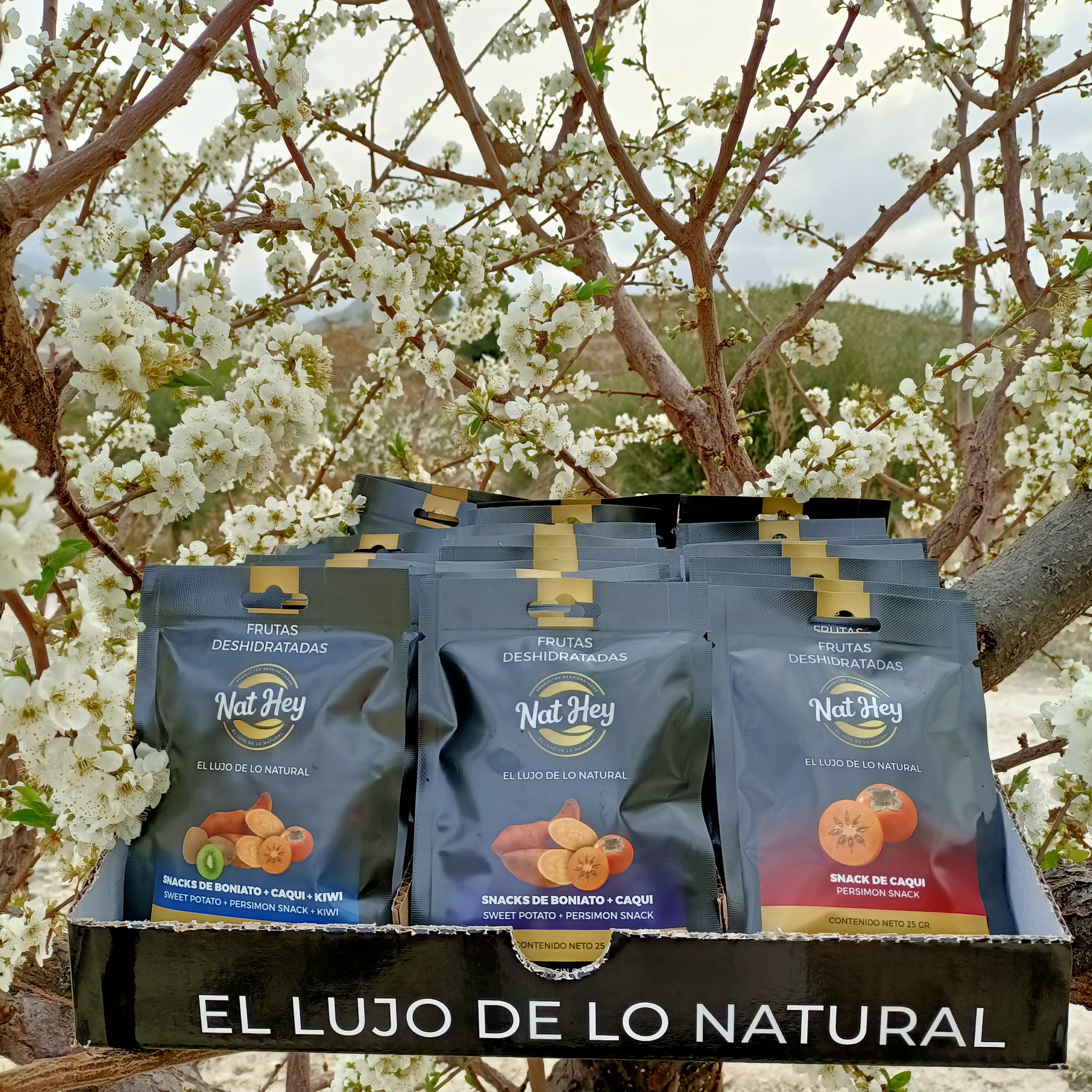 N A T H E Y - Deshidratados del Mediterráneo S.L. - Wholesale Dried/Dehydrated Fruit - Dehydrated Sweet Potato NaThey5