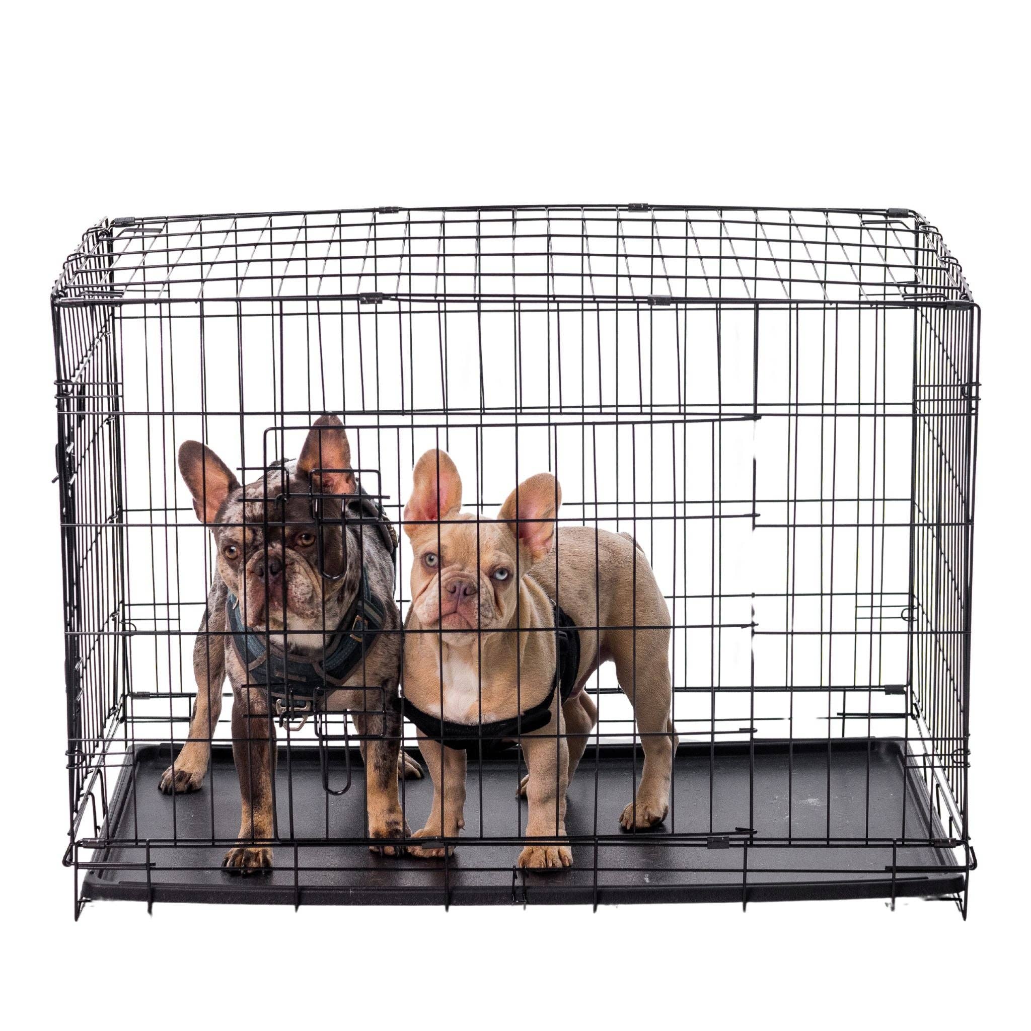 Wasatch Pup - Wholesale Pet Carrier - Dog - Classic Wire Kennel11