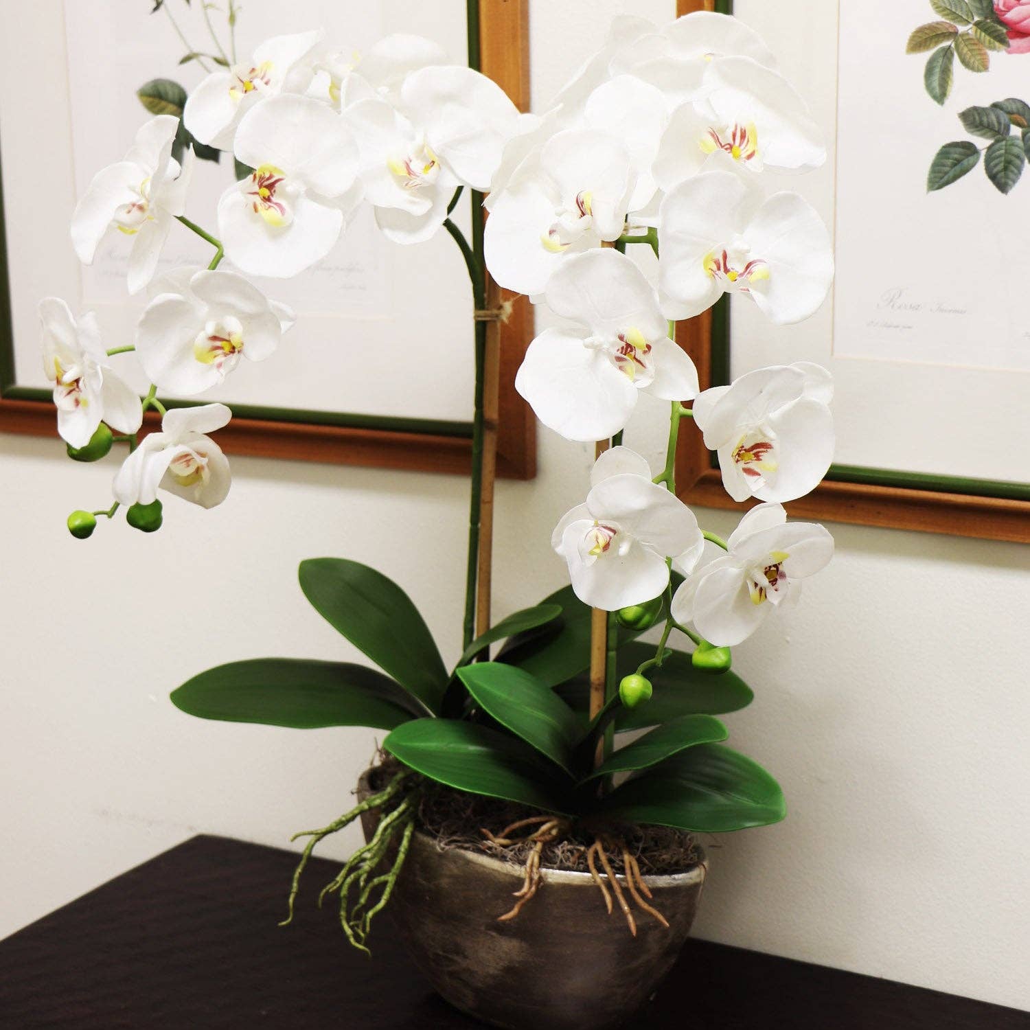 Larksilk - Vendita all'ingrosso Fiori finti - Orchidea Phalaenopsis in seta Real Touch con 9 fiori realistici3