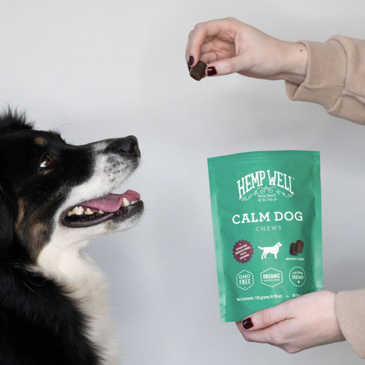 Hemp Well - Wholesale Pet Supplement - Dog - Hemp Well Calm Dog Soft Chews4