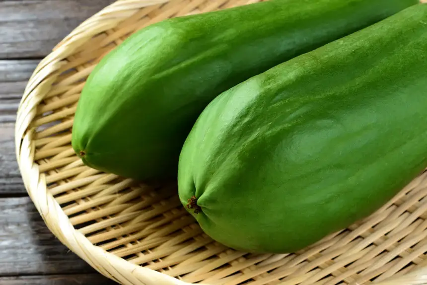 Japan Artisans - Vente Sachets de thé - THÉ DE FEUILLES DE PAPAYE 7 sachets | Fabriqué au Japon7