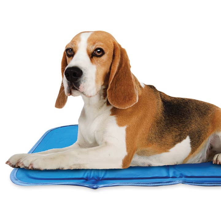 The Green Pet Shop - Wholesale Pet Bed - Dog - Cool Pet Pad1