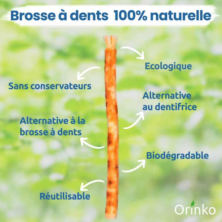 Orinko - Wholesale Toothbrush - Bulk Siwak Sticks - 100% Natural Toothbrush