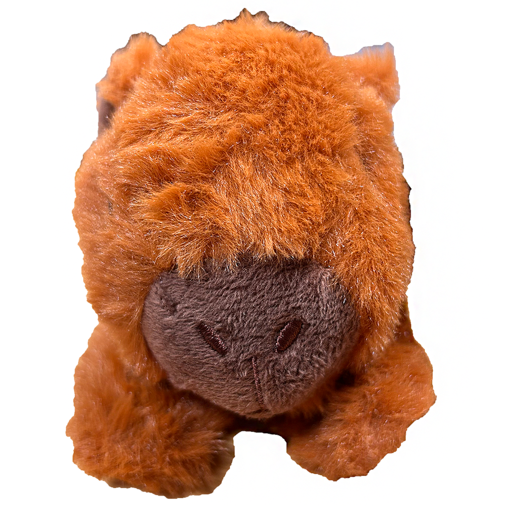 Texas Toy Distribution - Wholesale Stuffed/Plush Toy - Kids & Baby - Capybara Plush Stuffed Animal with Two Slap Bracelets2