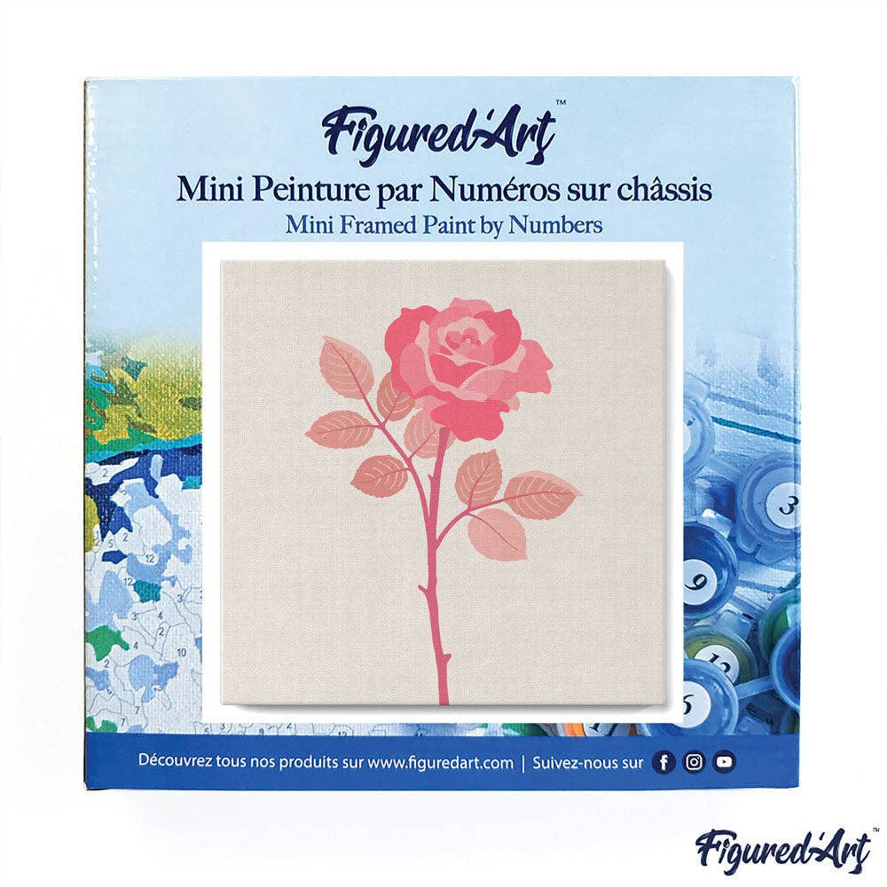 Figured'Art - Vente Kit de bricolage - Mini peinture par numéros Rose rose en fleurs déjà encadrée2