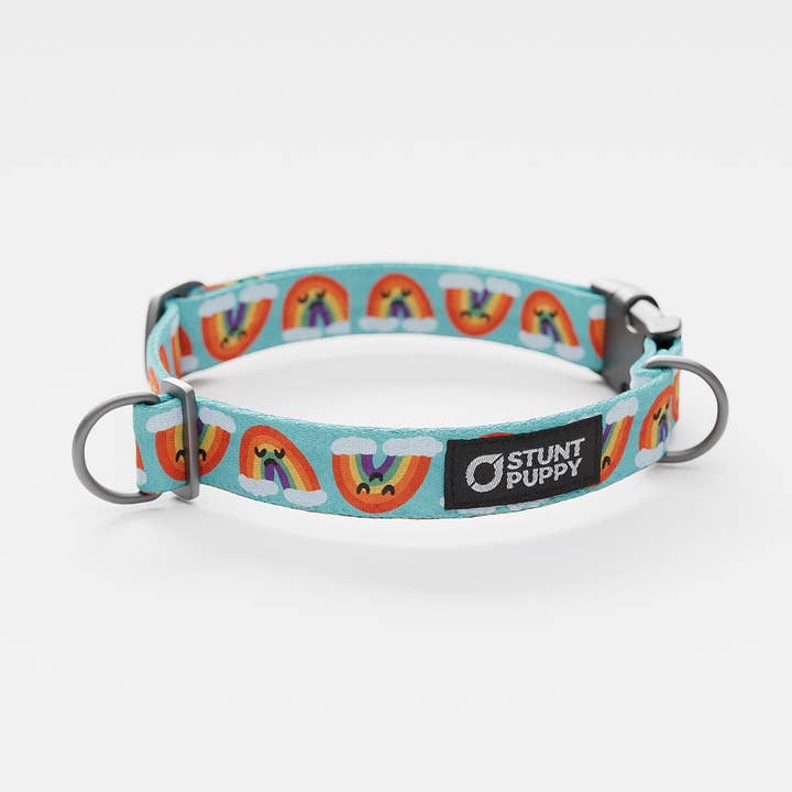 Collier Arc-en-ciel Quotidien Jill Kittock pour la vente par Stunt Puppy