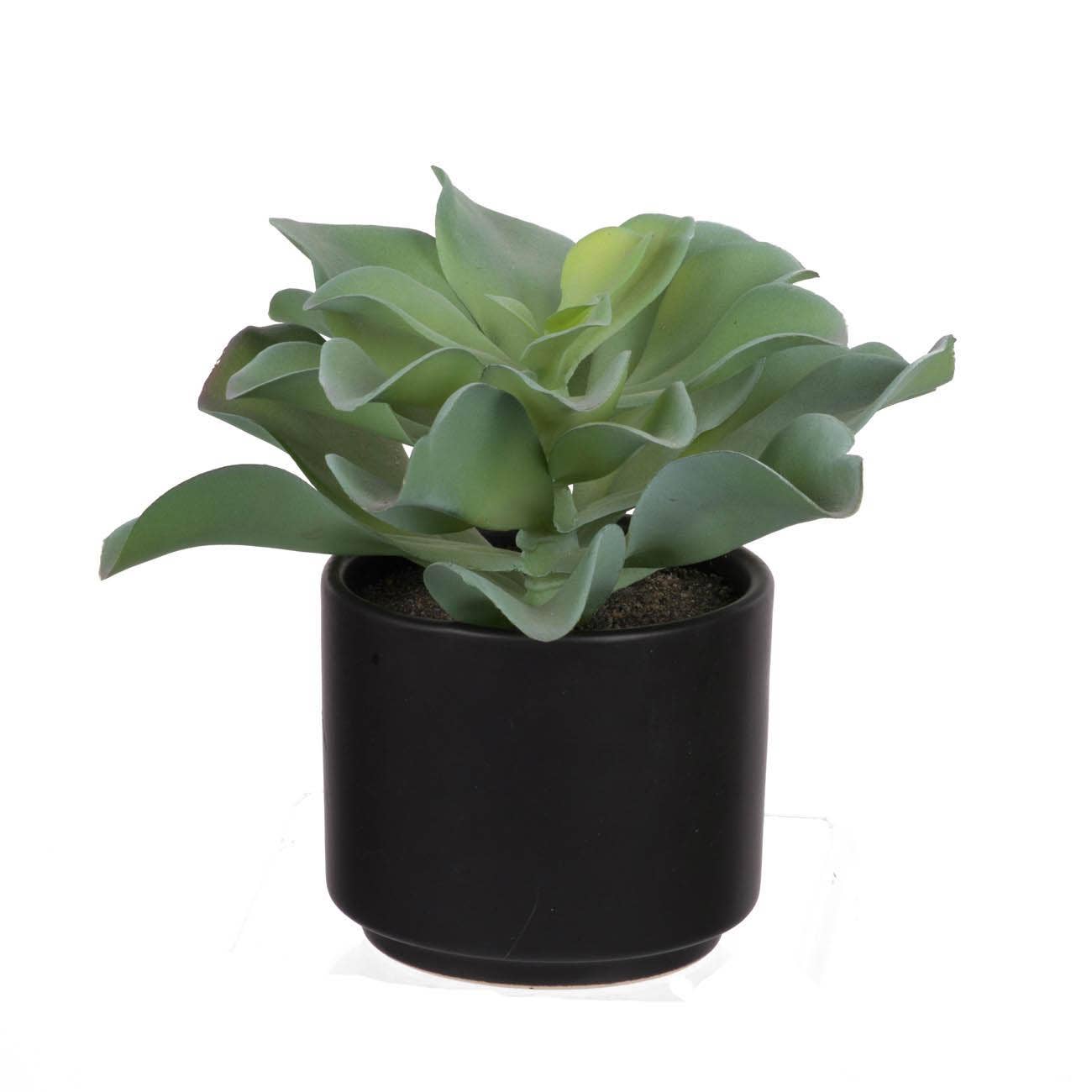 A&B Home Group Inc. – wholesale Artificial plant – Potted Succulent0