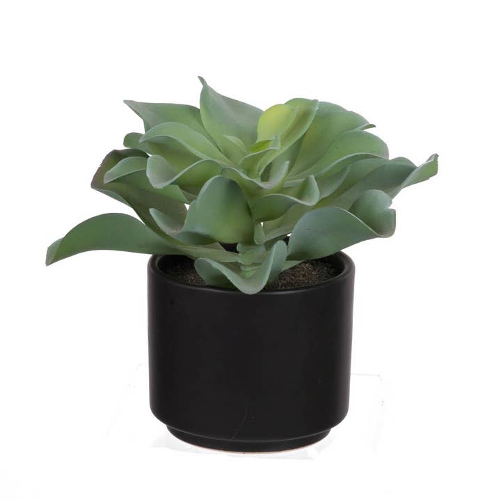 A&B Home Group Inc. – wholesale Artificial plant – Potted Succulent
