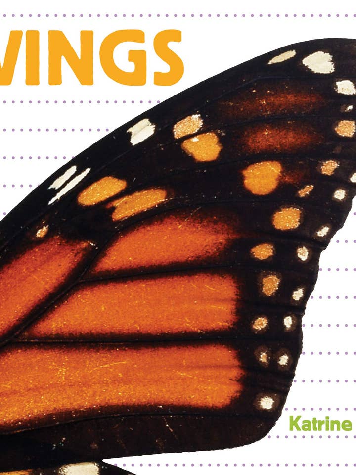 Alas (¿de quién es?) para venta al por mayor de Flowerpot Press