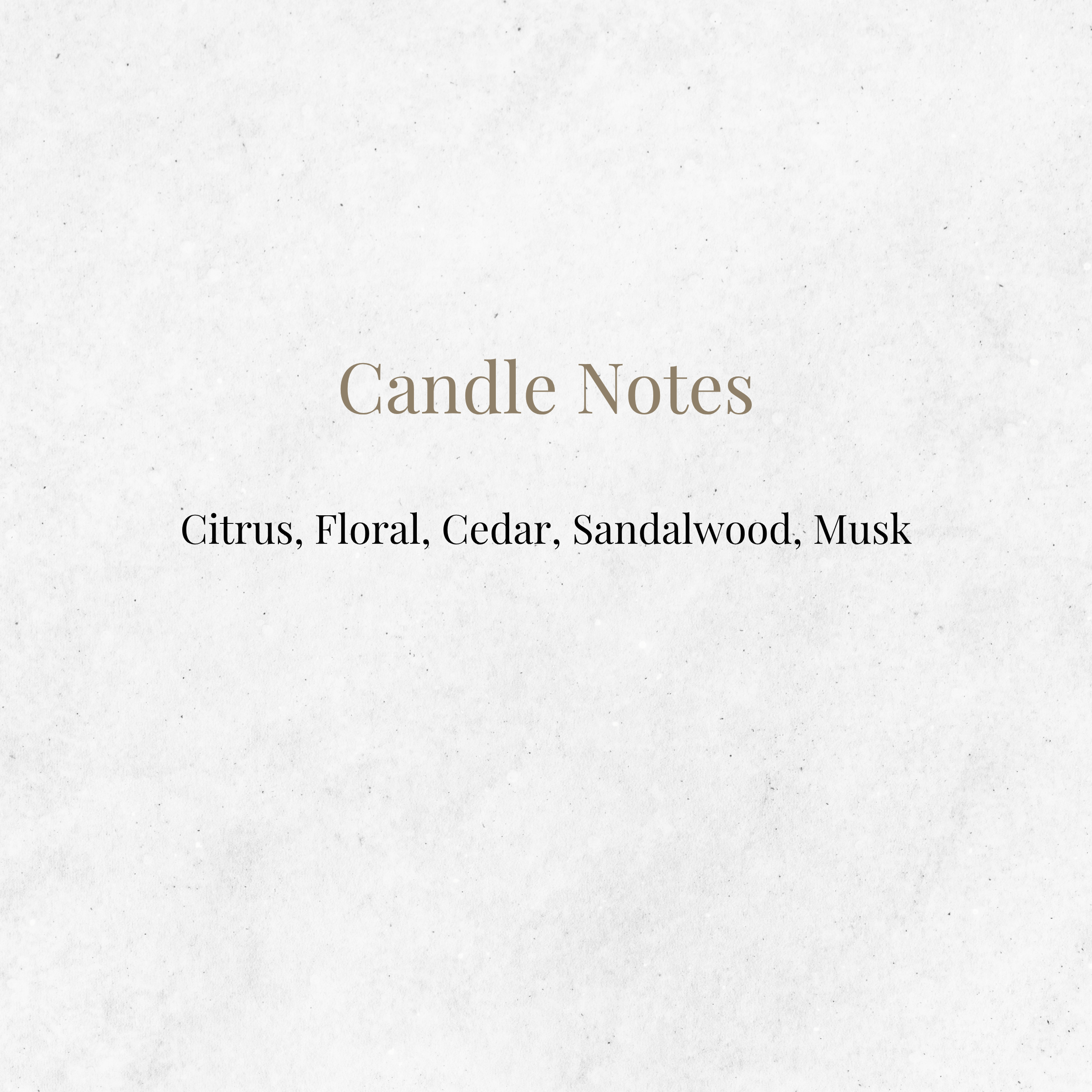 Little Smut Closet - Wholesale Jar/Filled Candle - Officially Licensed Rhysand - The Sarah J. Maas Collection1