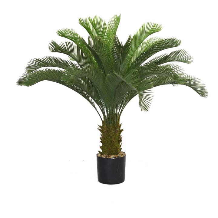 48" Tall Cycas Palm Tree for wholesale by MinxNY