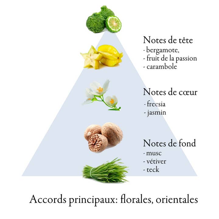 FAMILLE GRASSE PARFUMS - Wholesale Perfume/Eau de Toilette - BAROCCO eau de parfum for women 50ml3