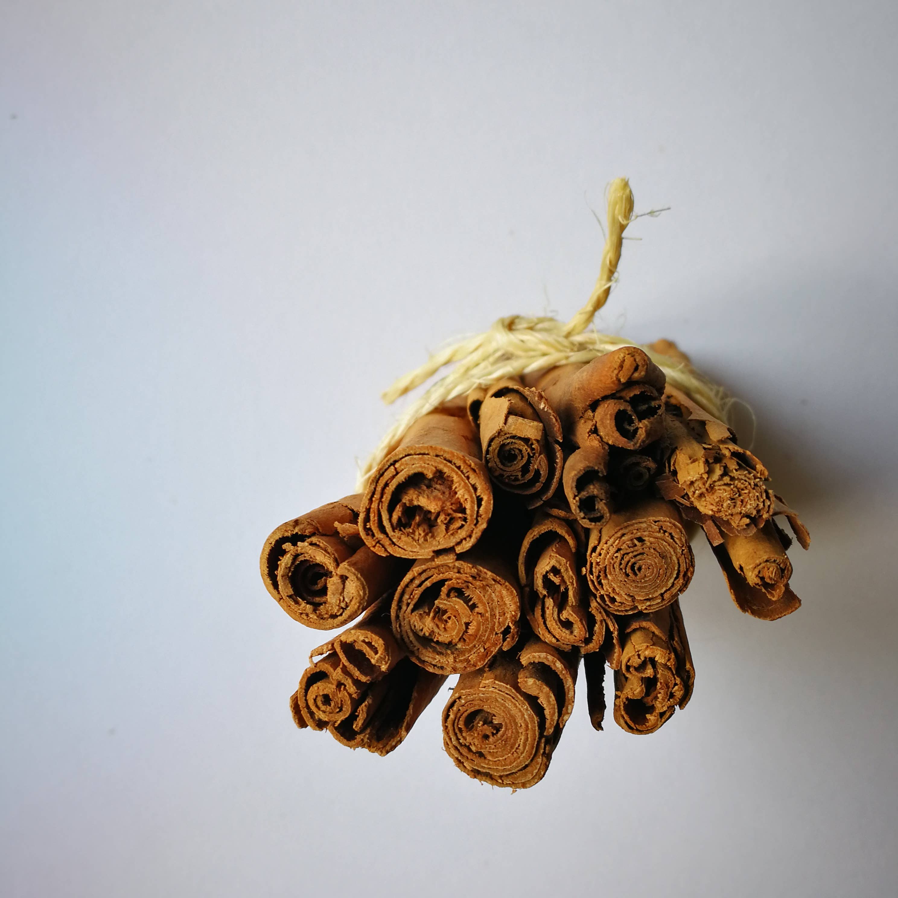 Nomie, le goût des épices - Wholesale Dried Spice - Organic cinnamon cracker, 500gr (bulk)1