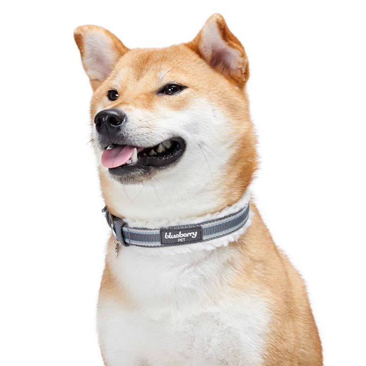 Blueberry Pet - Wholesale Pet Collar - Dog - 4 Colors, Sherpa Fleece Padded Dog Collar18