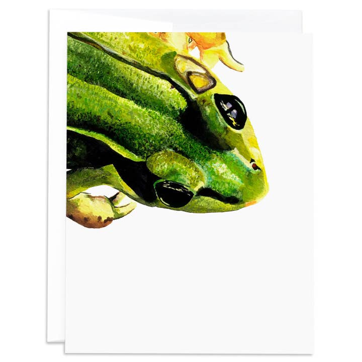 Tarjeta Frog Blank Note para venta al por mayor de J6R6