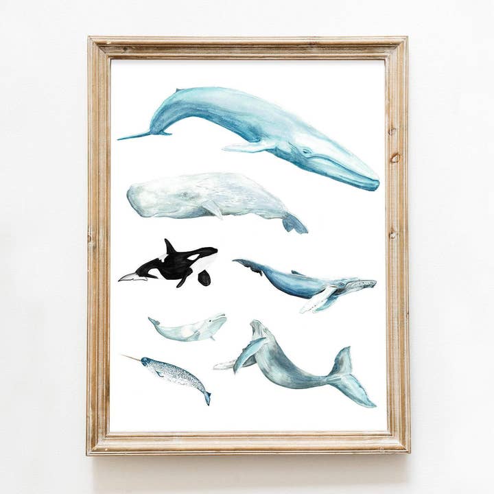 Stampa grafico delle balene ad acquerello per la vendita all'ingrosso da parte di Studio C Paper