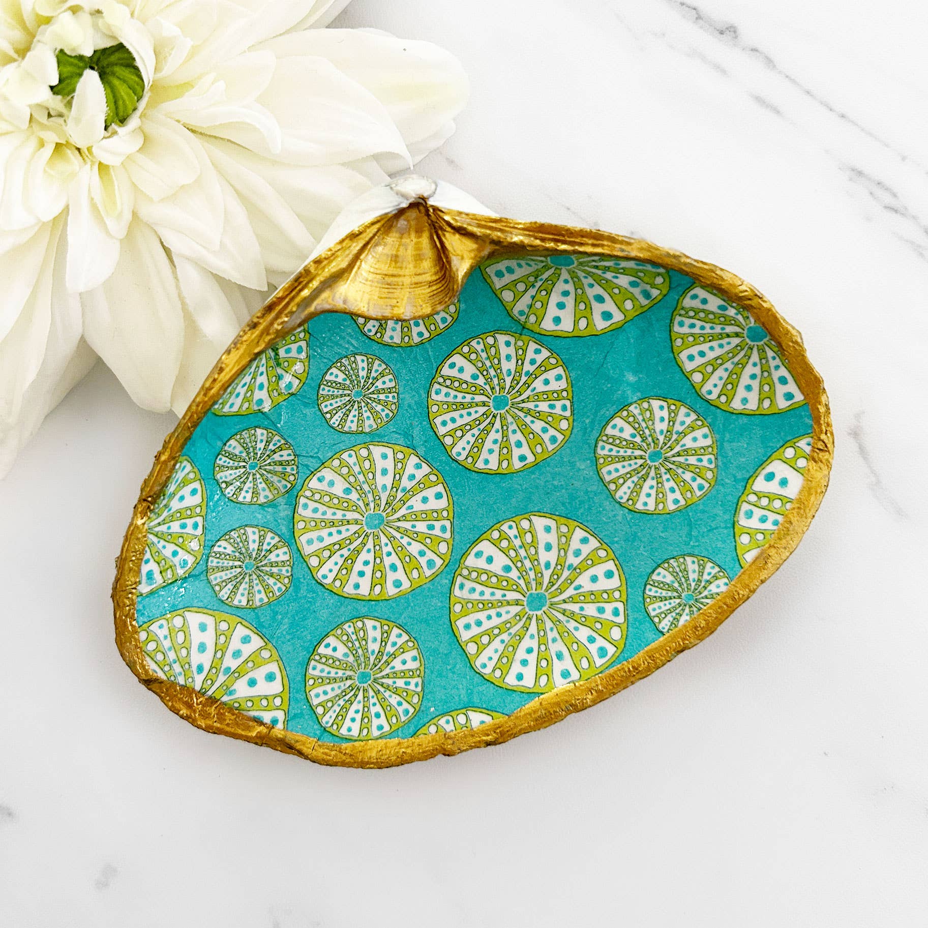 Adori Designs - Wholesale Jewelry Dish - Sea Urchin Teal Background Decoupage Clam Shell Trinket Dish1