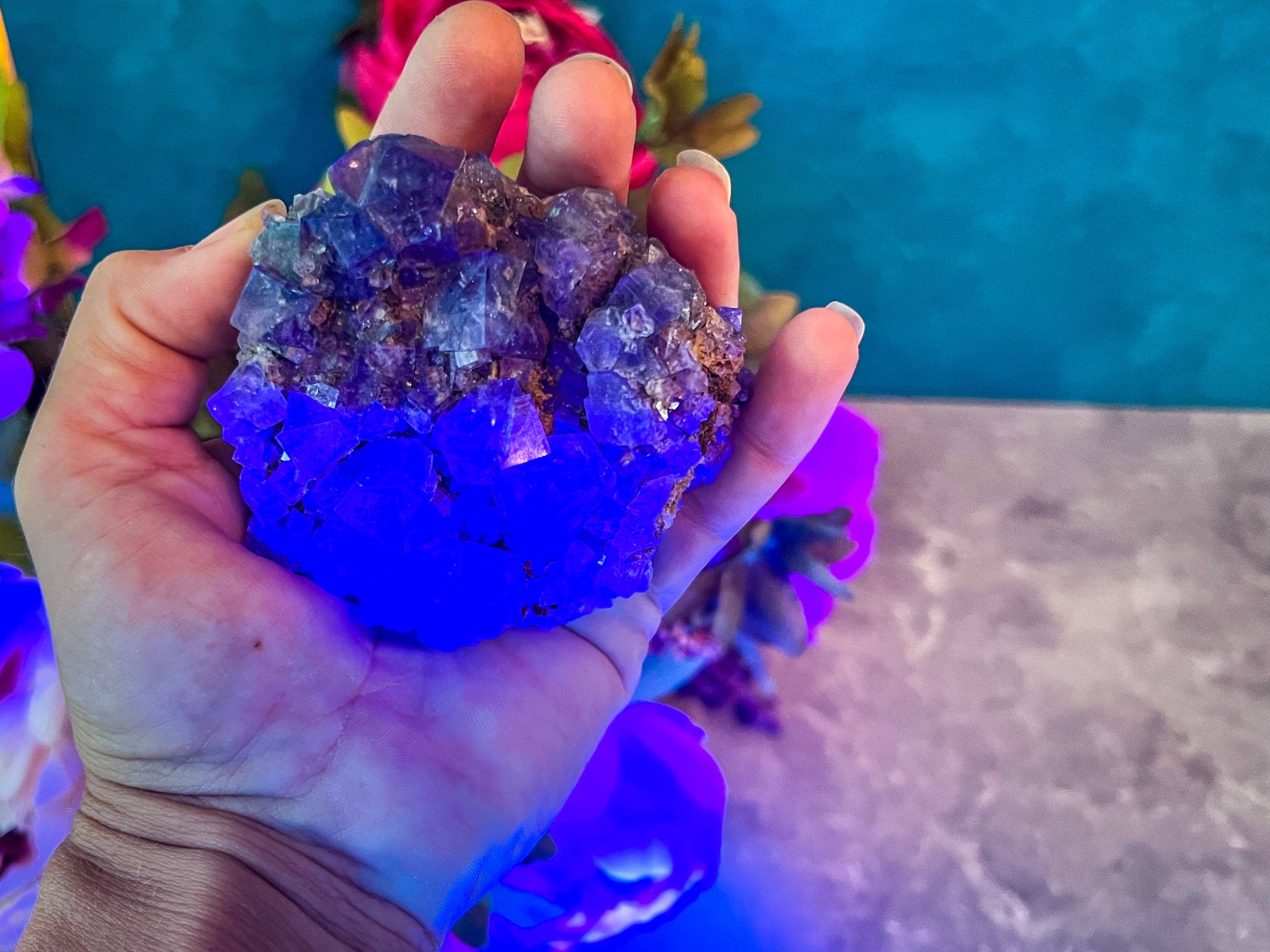 Mandala Gems – wholesale Andlig sten/kristall – Sällsynta lila regnflouritkluster, Lady Annanella-gruvan, STÄNGD gruva!, dagsljusfluorescerande4