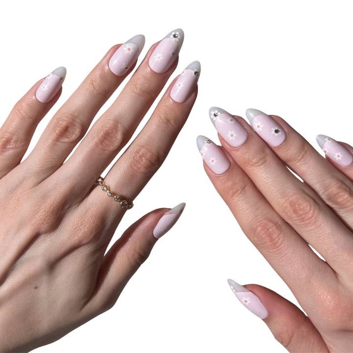 Dainty Daisy for wholesale by PaintLab