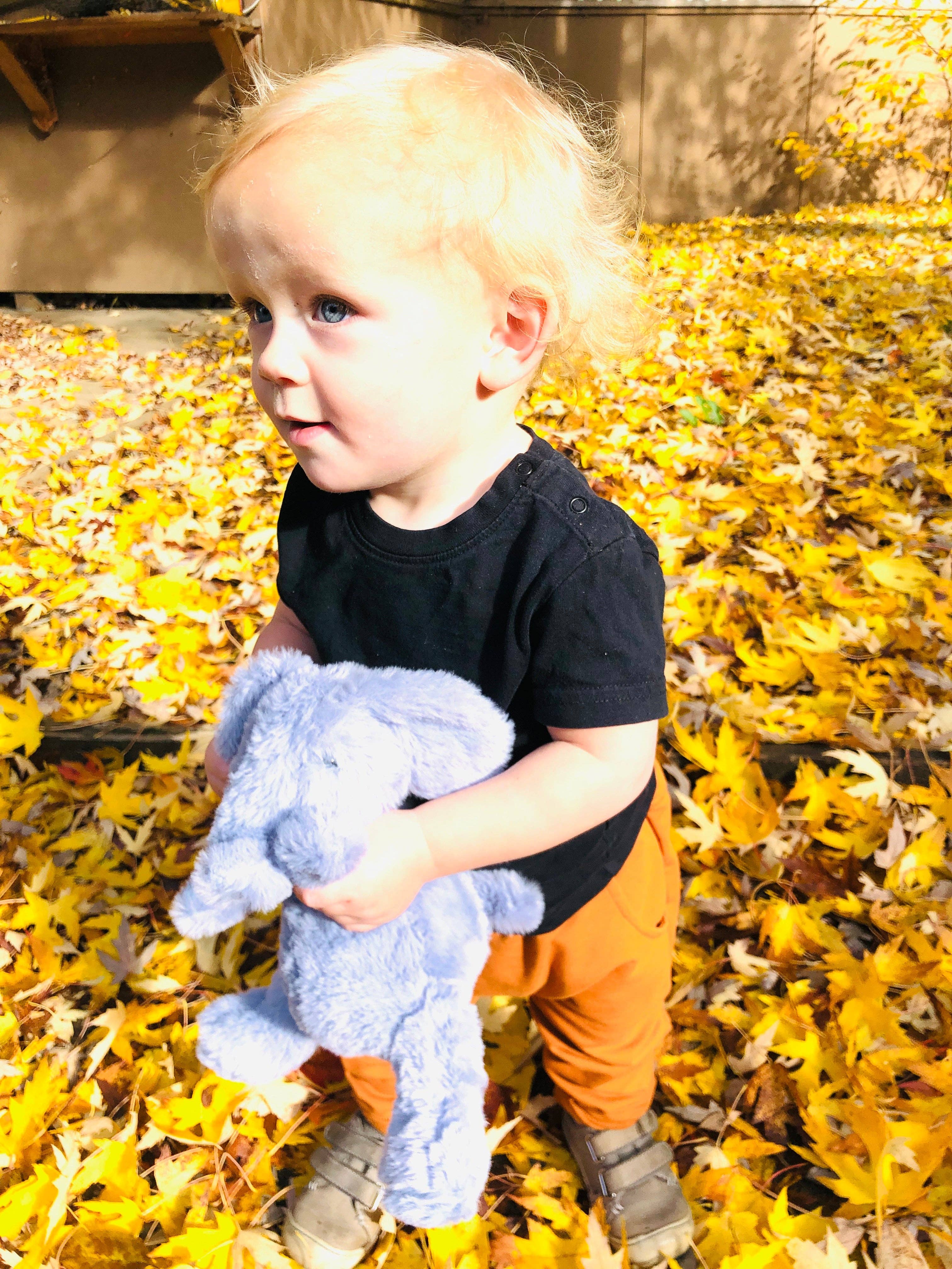 Firefly Delights LLC - Wholesale Stuffed/Plush Toy - Kids & Baby - Elephant Plush Toy2