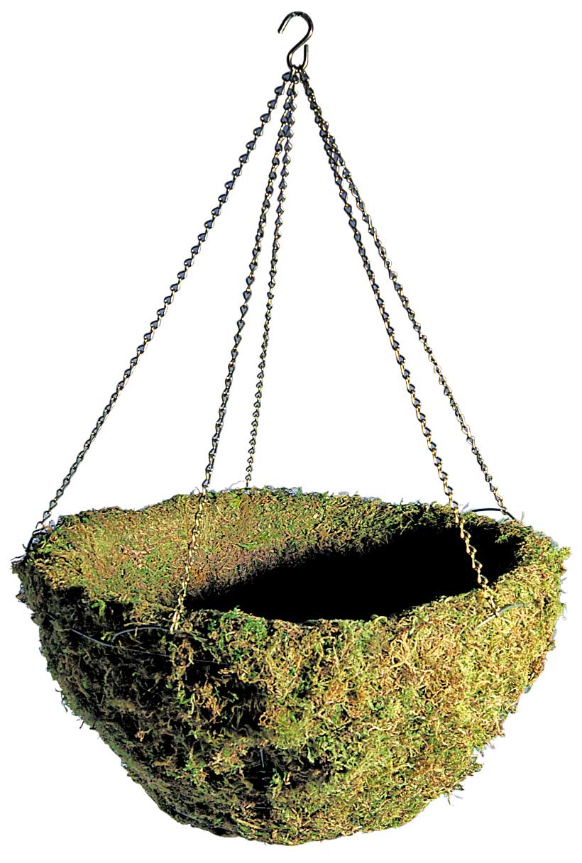 Braun - Wholesale Hanging Planter - Woodland Moss Hanging Basket with Chain - Galvanized0