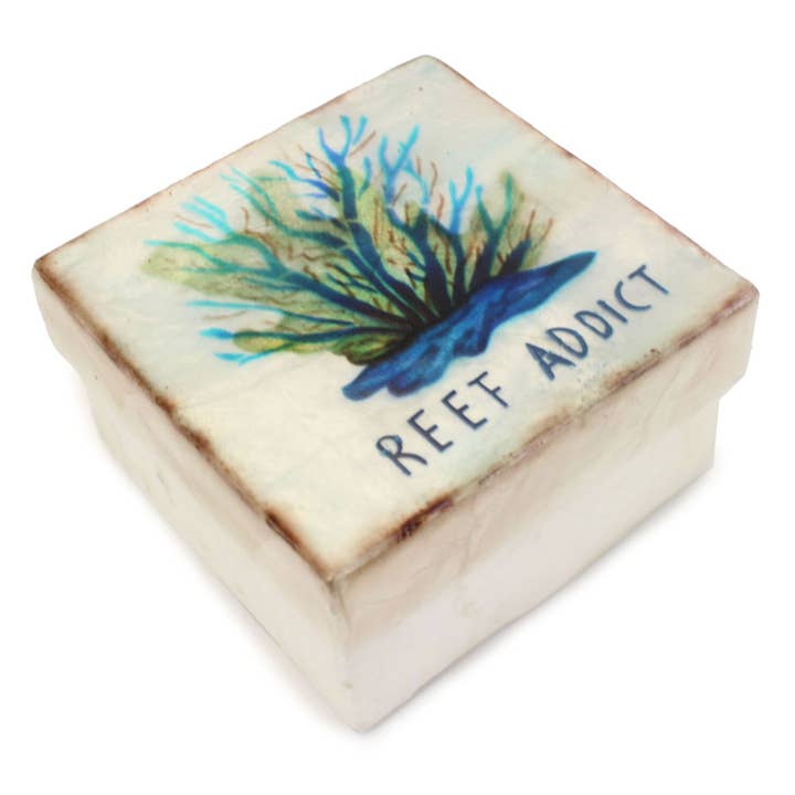 Beachcombers - Wholesale Jewelry Box/Organizer - SALE Reef Addict Coral Decorative Trinket Box