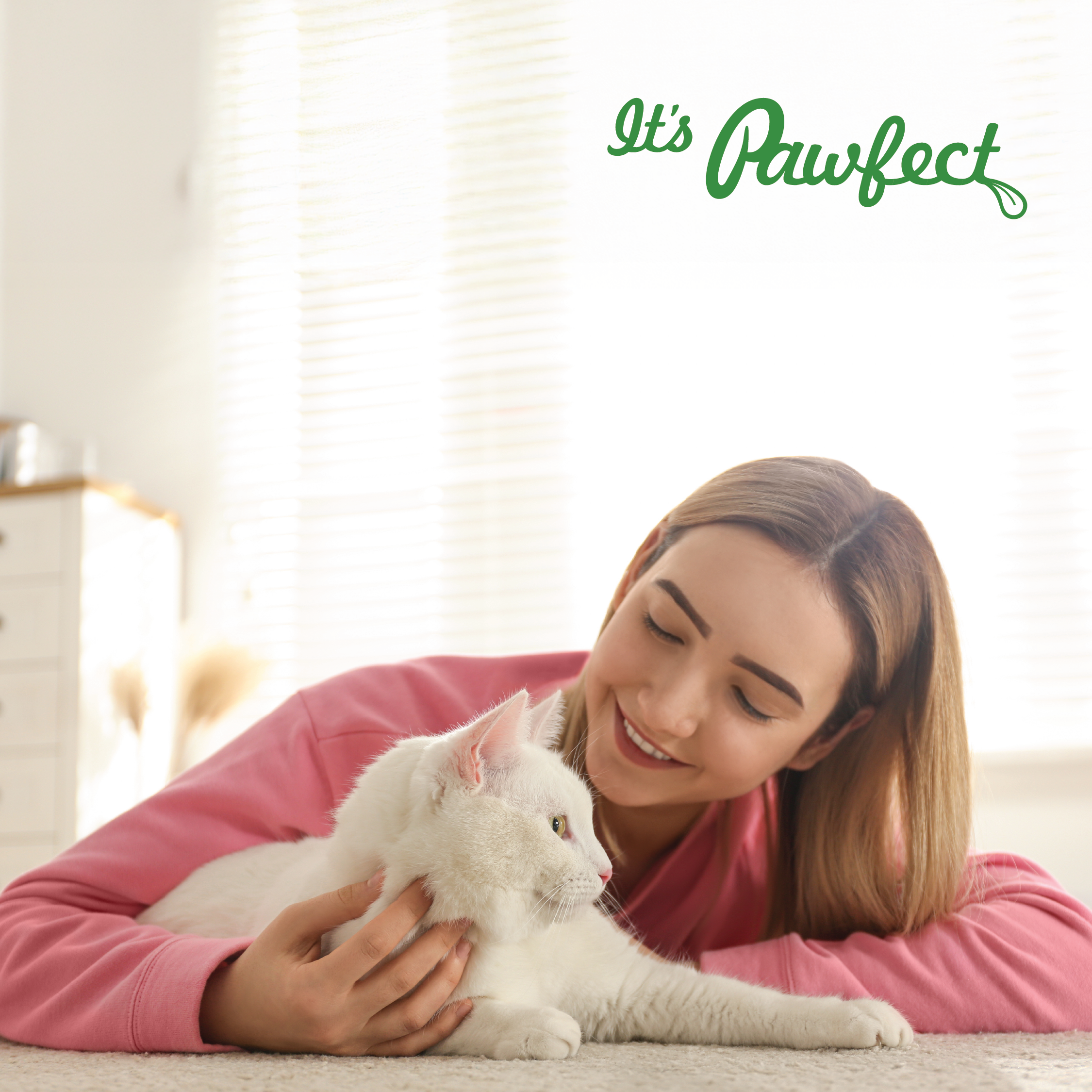 Pawfect Foods – Engroshandel Foder - Kat – Pawfect Nature's Kitchen Frysetørret Kyllingeopskrift Kattemad | Komplet & Afbalanceret Måltid | Magert Protein til Muskel- & Vægtkontrol | 100% Naturlig | Kornfri | Understøtter Vitalitet8