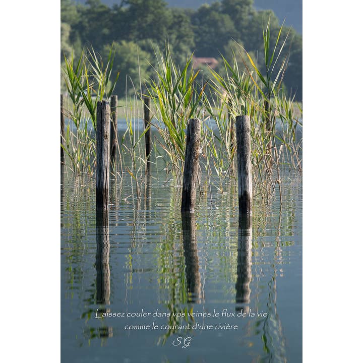 Reflejo de la vida para venta al por mayor de L'Ecriture D'Un Regard