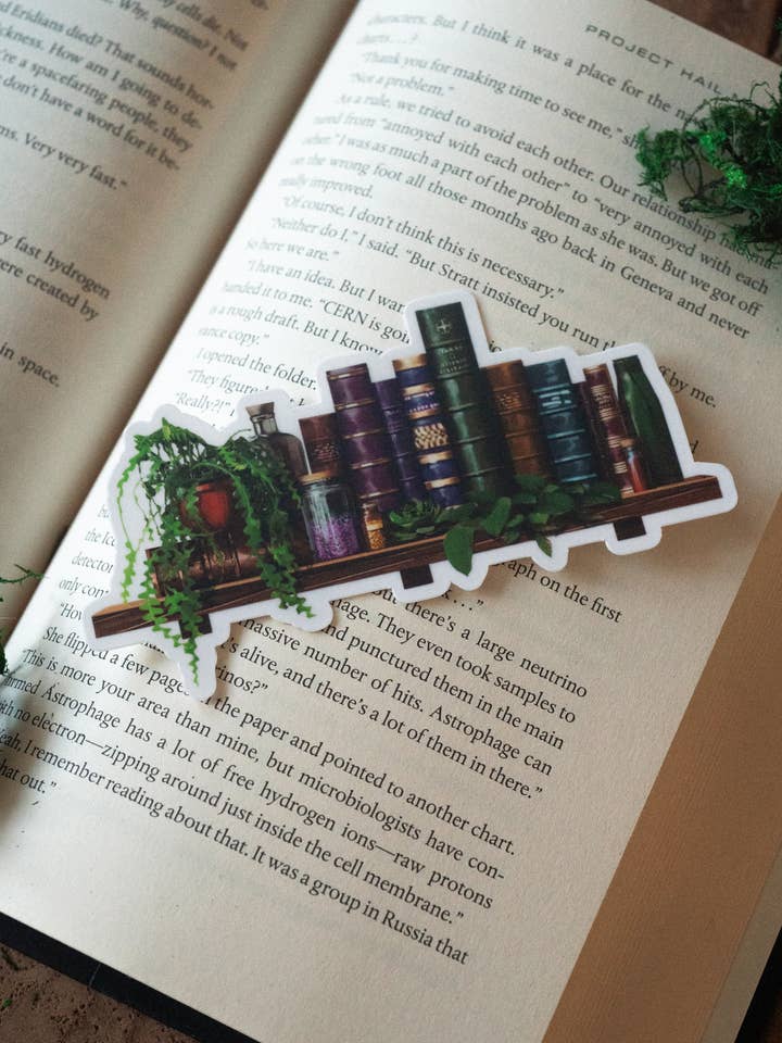 Marque-page The Alchemist's Shelf pour la vente par The Bookish Atelier