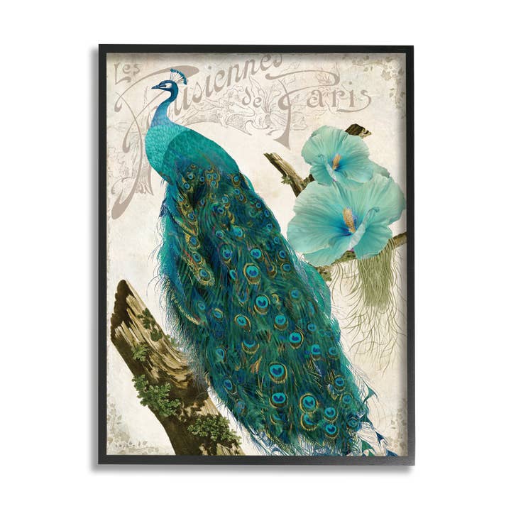 Stupell Industries - Venta al por mayor Ilustración - Pájaro estampado de pavo real parisino flor de hibisco azul enmarcado