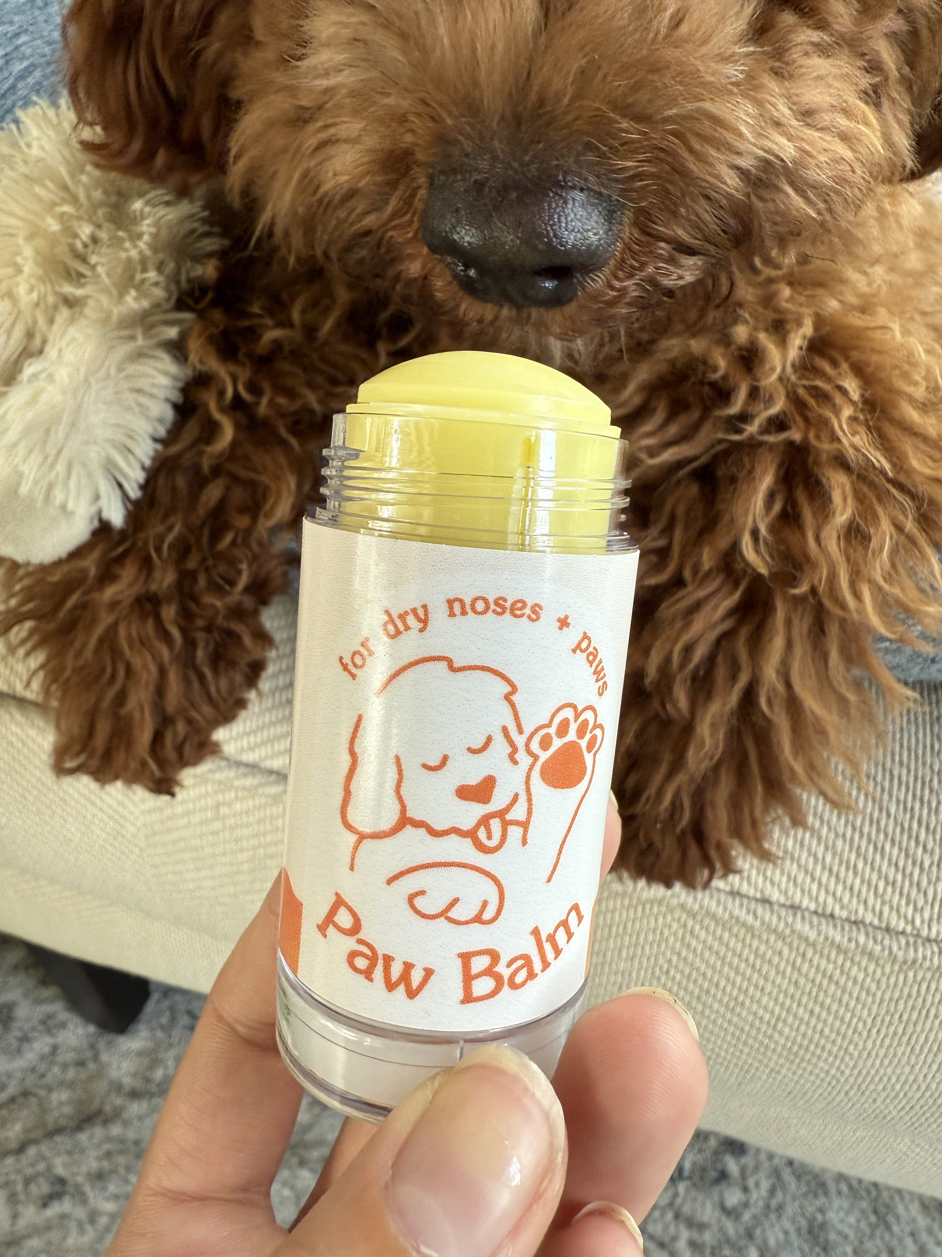 HoneyDrop - Wholesale Pet Balm - Dog - Paw Balm – Clean, Lick-Safe Pet Balm (1.6 oz)0