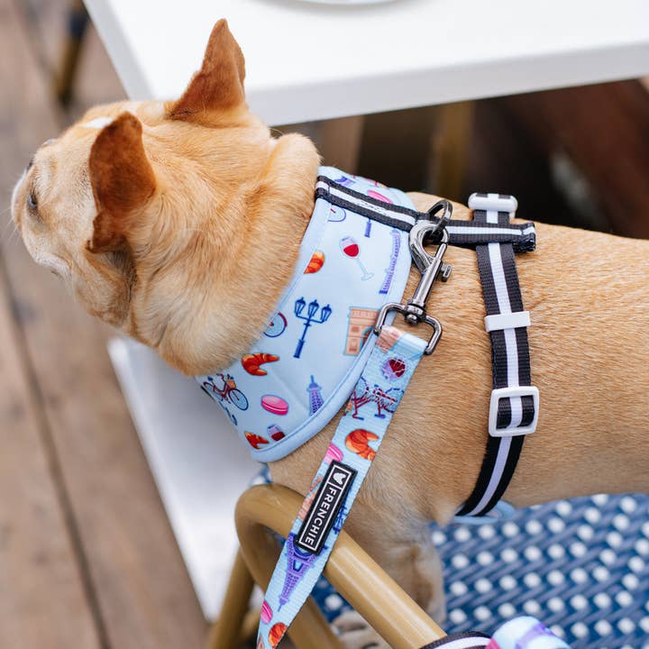 Frenchie Duo Reversible Harness - Frenchie in Paris for wholesale by Frenchie