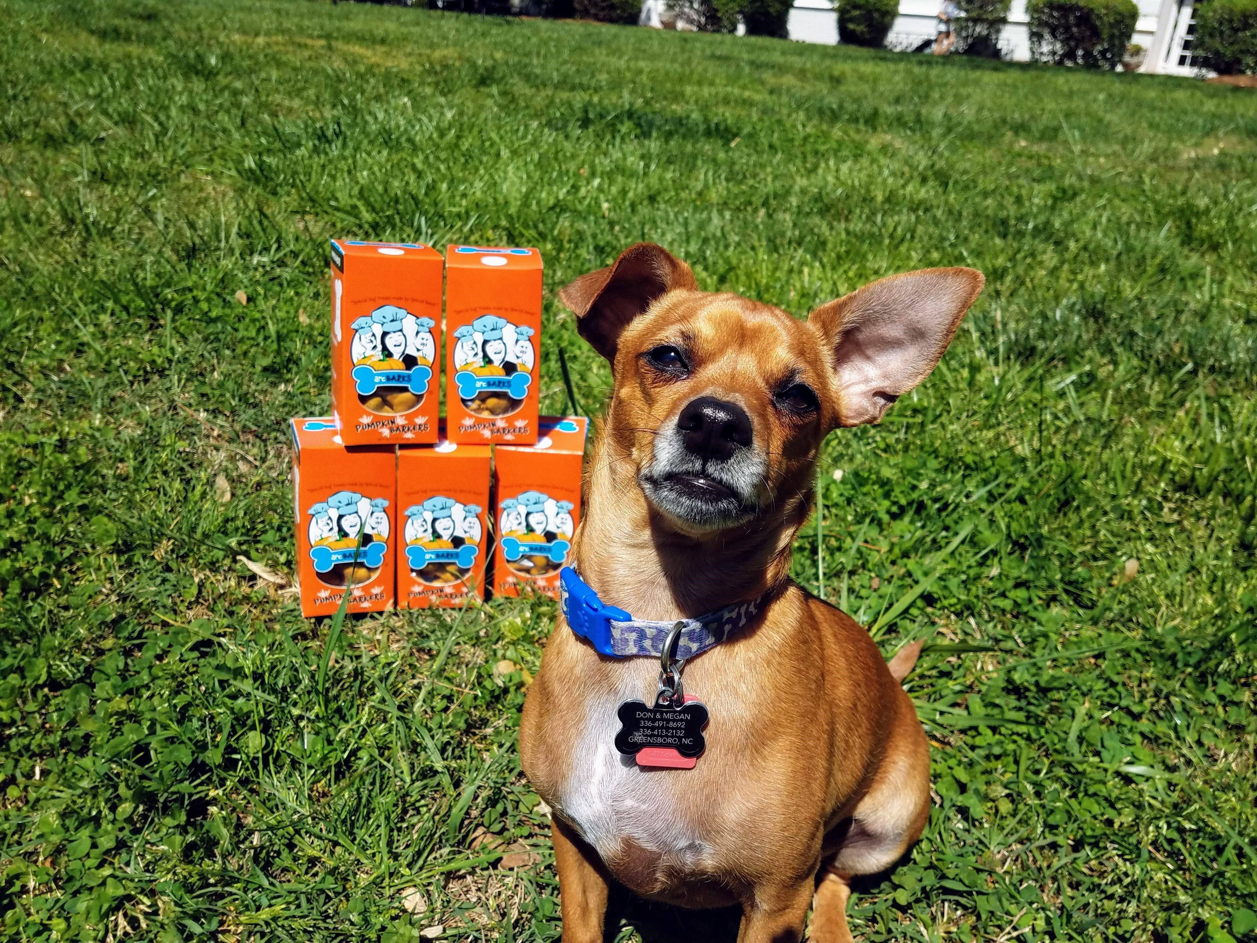 arcBARKS Dog Treat Company - Wholesale Pet Treats - Dog - Pumpkin Barker3