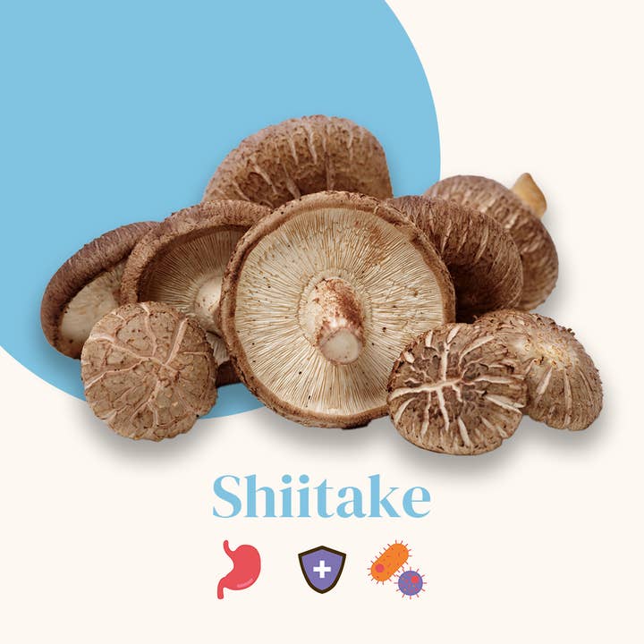 FRENCH MUSH - Wholesale Oral Supplement/Vitamin - Dietary Supplement Based on Shiitake Extracts1