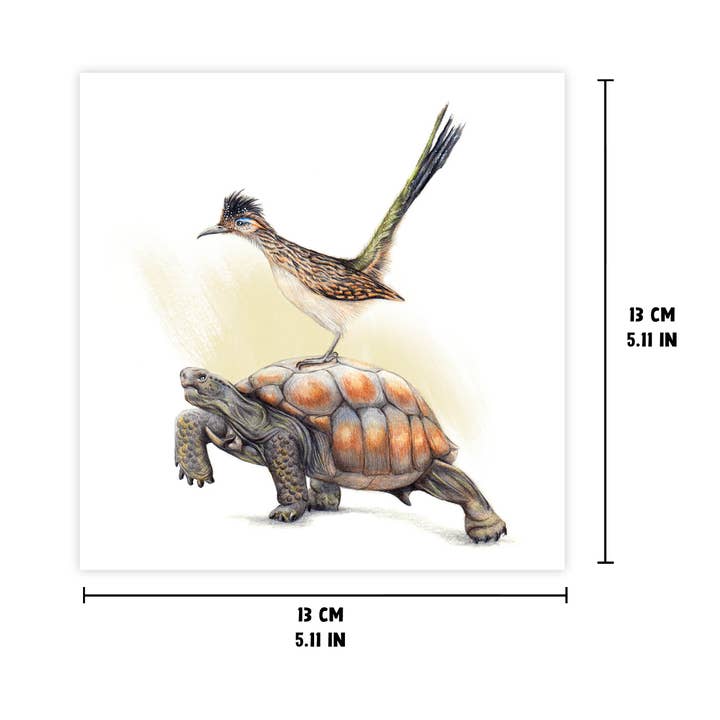 Beast of Paradise - Wholesale Everyday Greeting Card - Tortoise & Roadrunner Greeting Card, Animal Birthday Card2