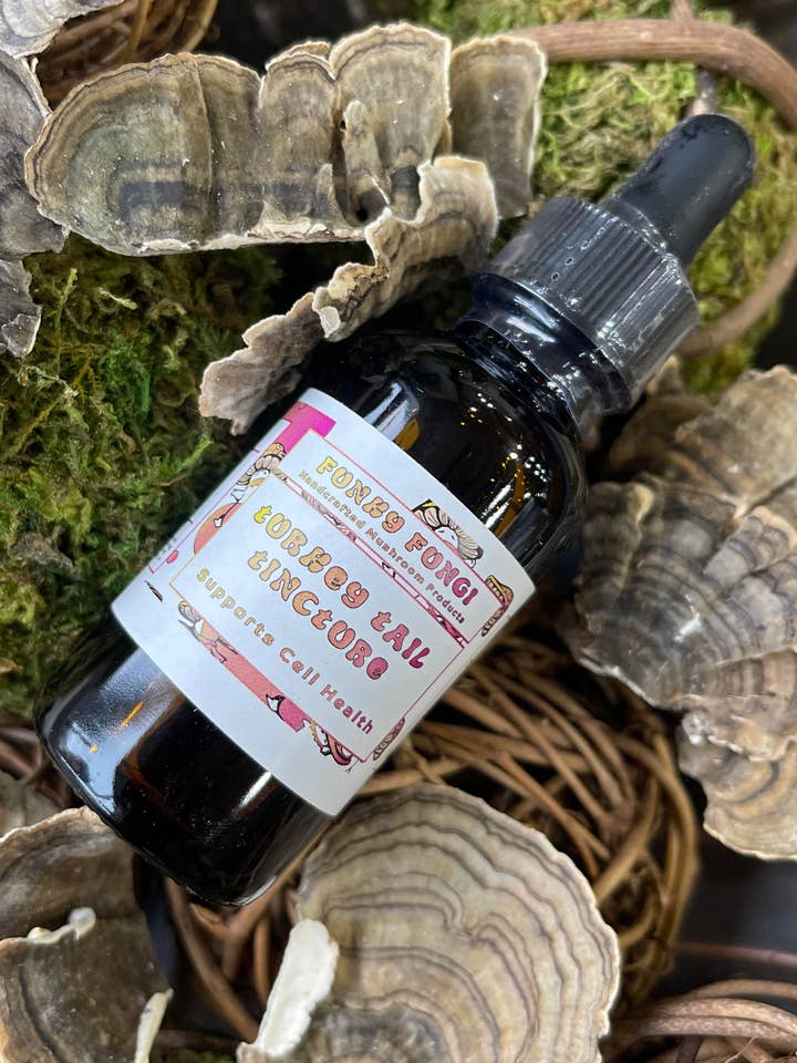 Teinture de queue de dinde pour la vente par Funky Fungi Mushroom Products