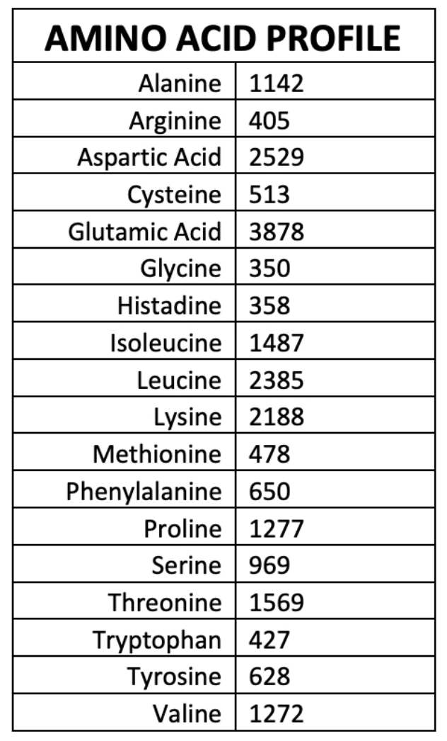 WICKED Protein - Wholesale Protein/Superfood Powder - WICKED Ice Pop Clear Whey Isolate Protein Powder (PRE ORDER)6