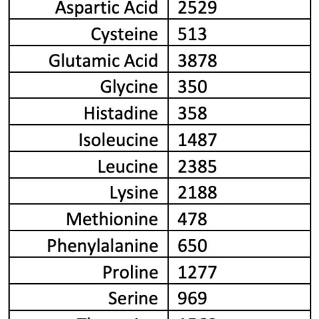 WICKED Protein - Wholesale Protein/Superfood Powder - WICKED Ice Pop Clear Whey Isolate Protein Powder (PRE ORDER)6