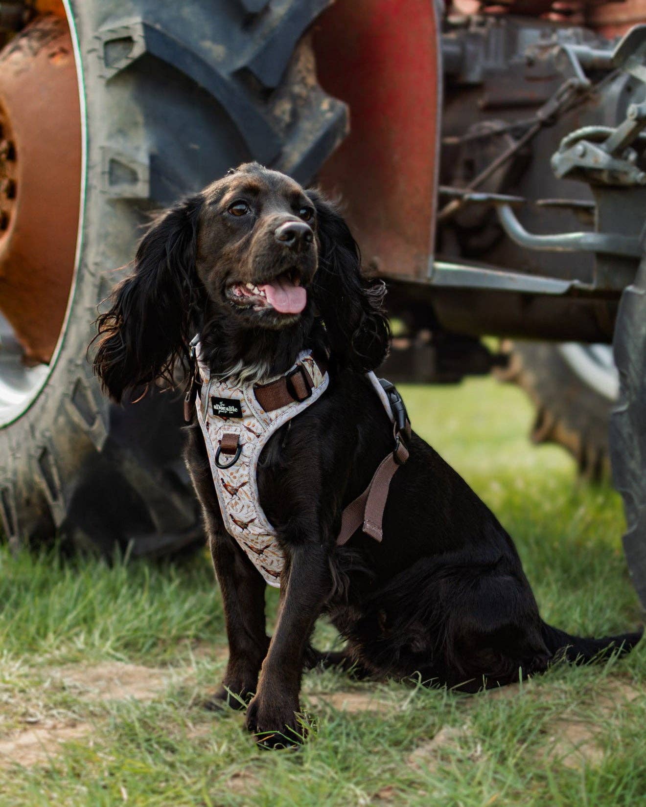 The aDoraBle Pooch Company - Wholesale Tuig voor huisdieren - Hond - Hike & Go™ Harnas - Farmland Fazant27