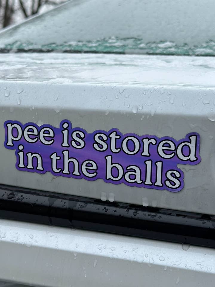 Pee Is Stored In The Balls Car/Fridge Magnet for wholesale by ShlemonArt