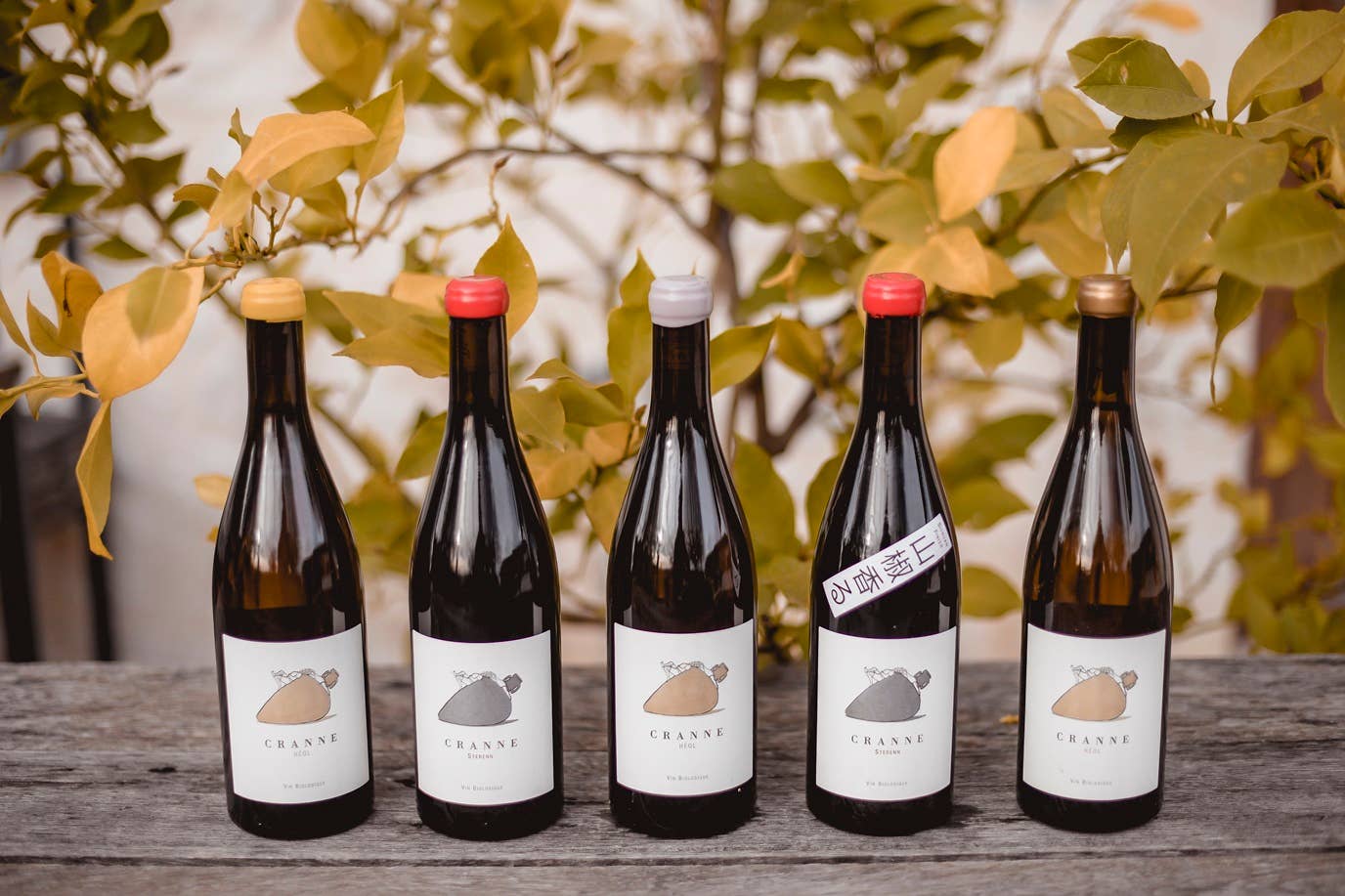 Château de Cranne – wholesale White wine – Grand Dry White Wine Muscaris Organic Amphora "CRANNE Héol" 243