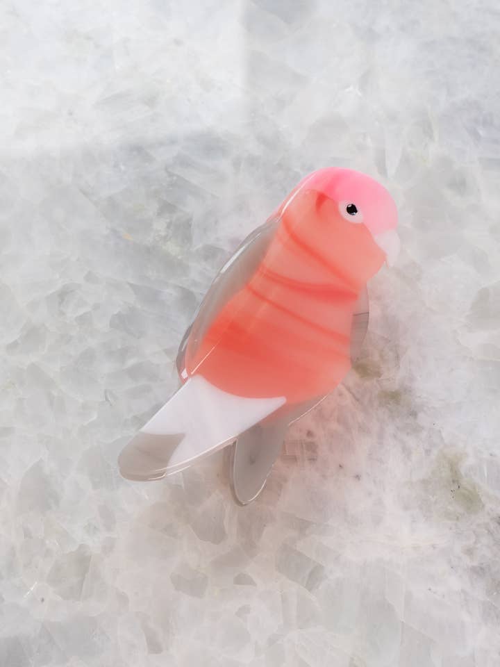 🦜 Rosa papegojhårklämma för wholesale av Haven