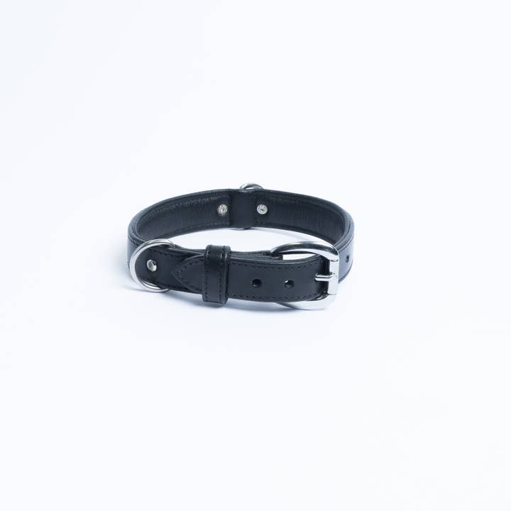 Angel Pet Supplies Inc. - Wholesale Pet Collar - Dog - Dallas Leather Dog Collar by ANGEL™ | Authentic9