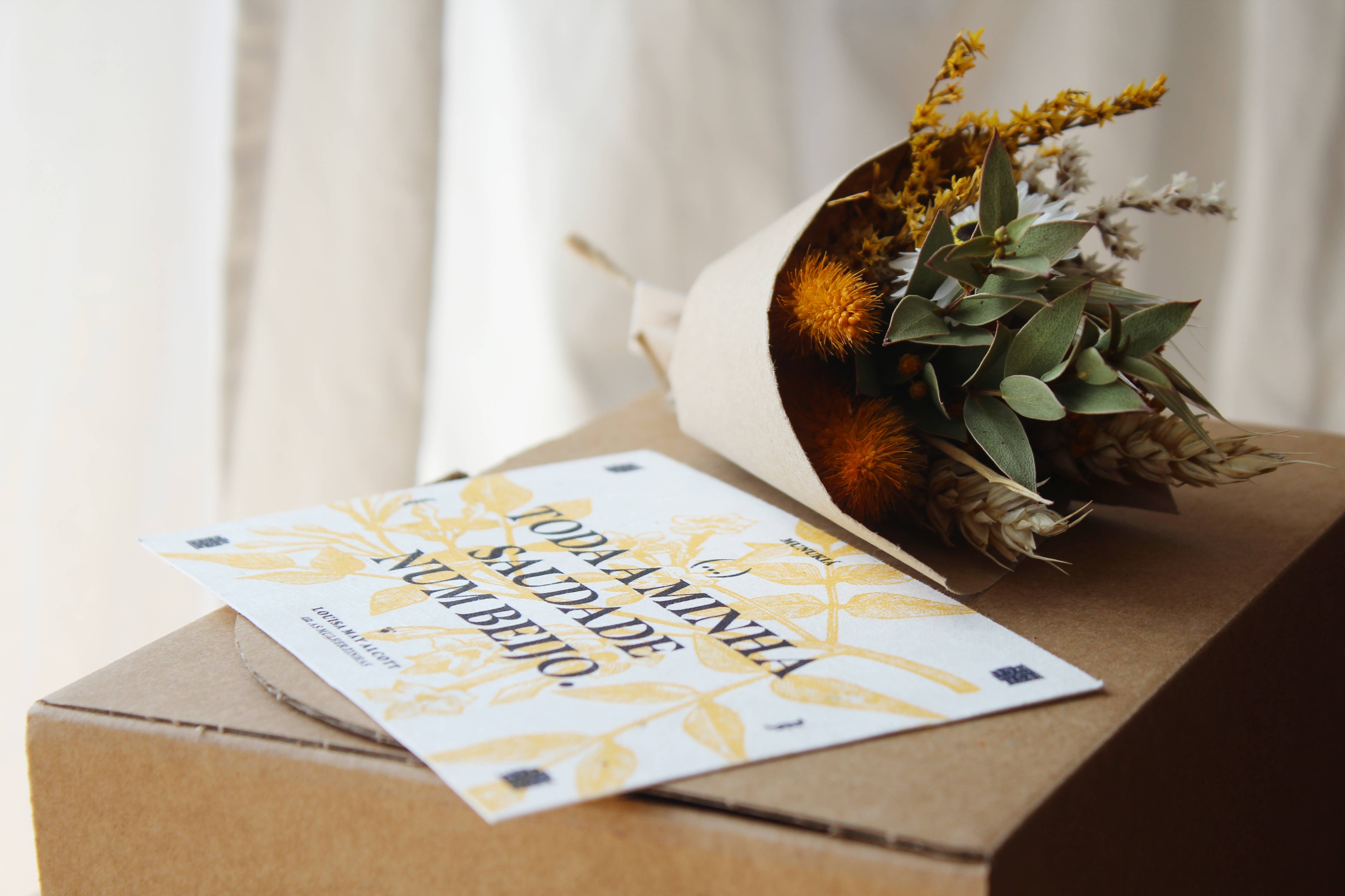 MUNUKIÁ – Großhandel Getrocknete/gepresste Blumen – Mini-Kegel aus getrockneten und konservierten Blumen1