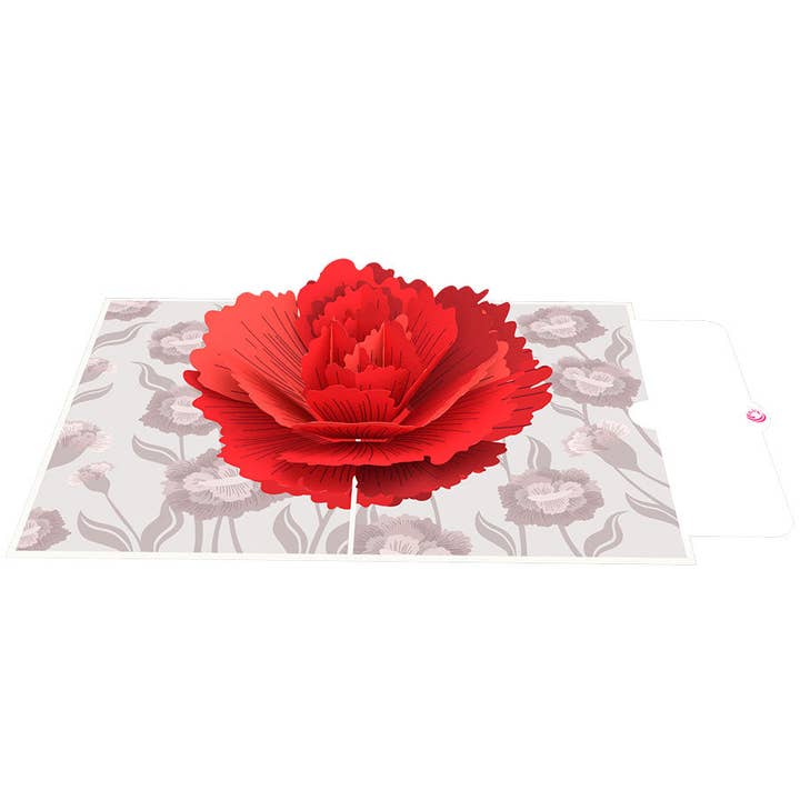 Unipop Cards, LLC - Wholesale Gewone wenskaart - Carnation Flower pop-upkaart - Pop-upkaart voor Moederdag6
