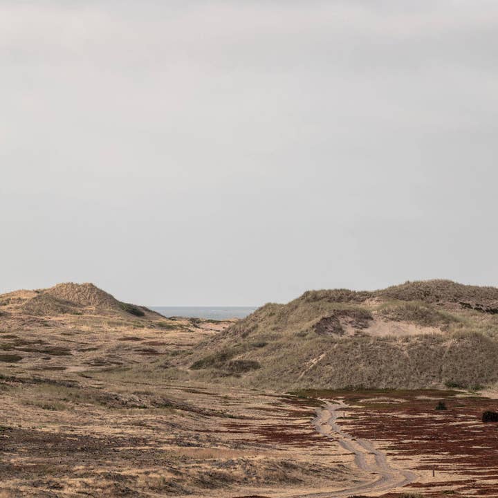 Foto Factory - Wholesale Art Print - The Desert3