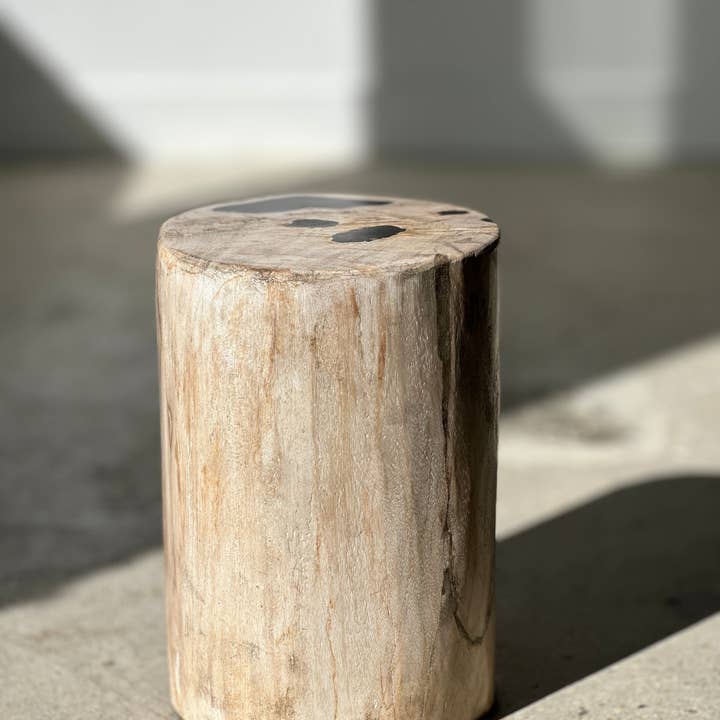 Office Objets - Wholesale Side Table - White petrified wood side table with black spots H:27.5 D:1833